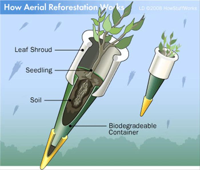 La aeroforestación es una herramienta contra la deforestación Cono-reforestacio-CC-81n-ae-CC-81rea