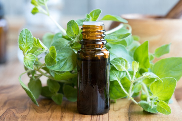 Oil of Oregano: 10 Mind Blowing Benefits Of This Potent Essential Oil Oregano-oil