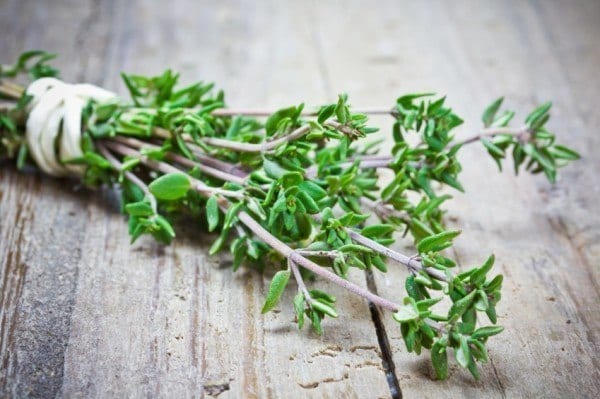 12 Healing Herbs You Need to Grow in Your Medicinal Garden Thyme-2-600x399