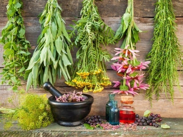 12 Healing Herbs You Need to Grow in Your Medicinal Garden Medicinal-herb-garden-600x450