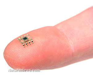 Elena Vexus Microscopic-Tiny-Computer-Microchip