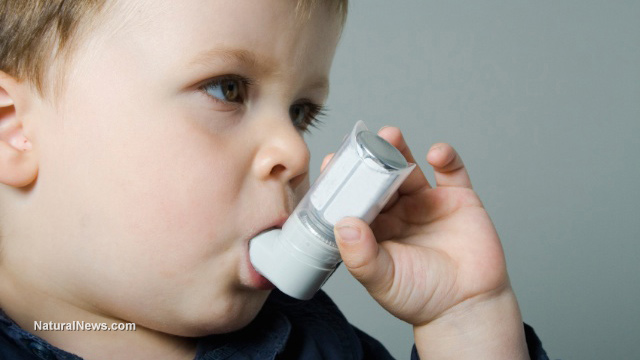 Childhood asthma found to be associated with prenatal phthalate exposure Boy-With-Inhaler-Sick-Asthma