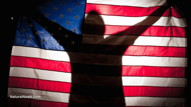 YOU are America's immune system against political corruption, media malfeasance and government criminality... and you've just been activated American-Flag-Man-Victory-Silhouette