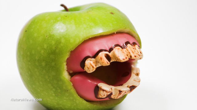  apple GMO apples approved despite fierce opposition Rotting-Teeth-Granny-Smith-Apple-Mouth