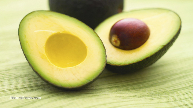 LOVE AVOCADO? DON'T MISS OUT ON THE NATURAL ANTIOXIDANTS AND FIBER HIDDEN IN THE SEED Avocado-Halves-Brain-Food