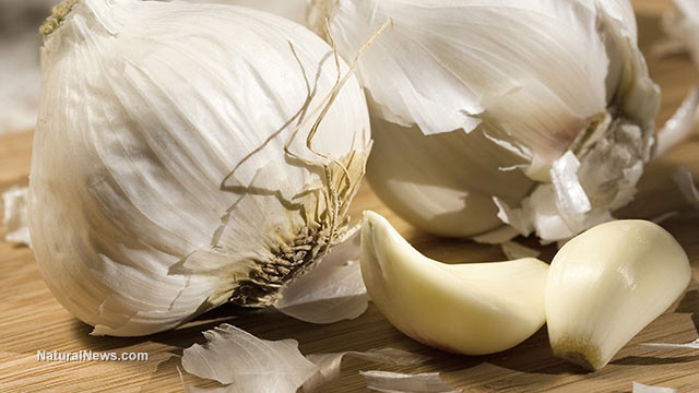  garlic Garlic - DIY, recipes, and other information you should know about this amazing herb Garlic-Cloves-Vegetables