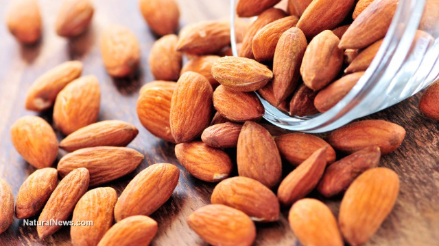  almonds Eating almonds can reduce heart disease risks, belly fat Spilled-Almonds-Nuts