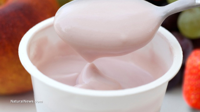 Yogurt buyers beware: Aspartame and artificial colors frequently found in popular yogurts Yogurt-Container