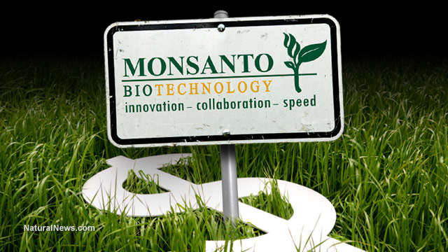 Study shows Monsanto's Bt toxin kills human embryo cells Monsanto-Money-Crops