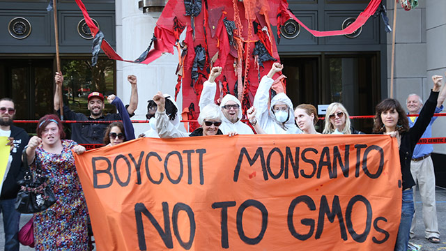 Monsanto to face tribunal at The Hague for 'ecocide' against humanity and the planet Occupy-Monsanto-Boycott-Monsanto-No-to-GMO-Sign