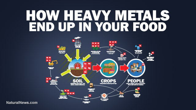 Health Ranger releases stunning infographic showing how heavy metals end up in the food supply due to industrial pollution Infographic-Heavy-Metals-In-Your-Food