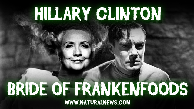  Monsanto Bride of Frankenfood: Hillary Clinton pushes GMO agenda... hires Monsanto lobbyist... takes huge dollars from Monsanto Bride-of-Frankenfoods-Hillary-Clinton