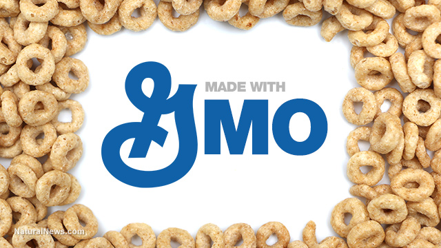 General Mills surrenders to GMO labeling, reluctantly decides to label foods but still believes in fundamentally deceiving its own customers General-Mills-GMO