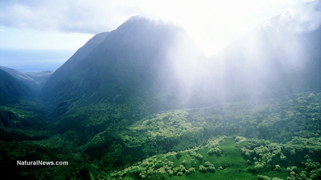 NASA study reveals carbon dioxide emissions make trees grow faster - the key to reforestation and food production? South-America-Sunlight-Rainforest-Mountain