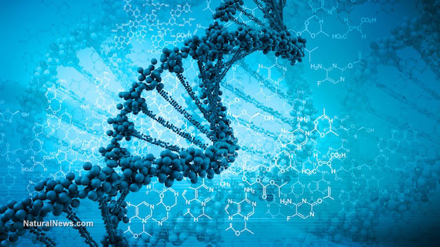 GMO scientists now developing techniques to intentionally pollute natural organisms' genomes to permanently alter DNA Dna-2