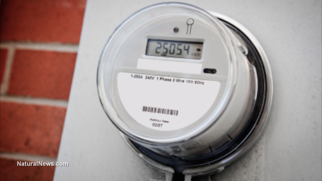 Smart meters really do spy on your use of appliances, industry admits Smart-Meter-Electricity-Energy-Home