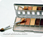 FDA admits mercury in cosmetic products is extremely toxic  Makeup-Mirror-Compact-Container-Colors-Brush