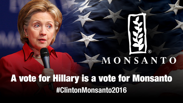  Monsanto Bride of Frankenfood: Hillary Clinton pushes GMO agenda... hires Monsanto lobbyist... takes huge dollars from Monsanto Hillary-Clinton-Monsanto-2016