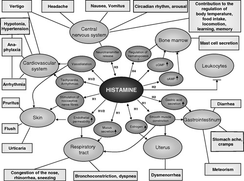 Vaccine mechanism of harm exposed in Gardasil vaccine Histamin-Chart-500