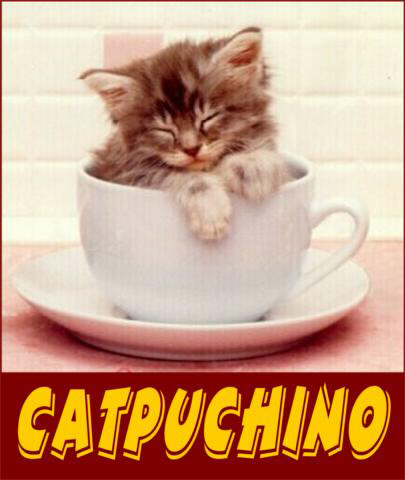 BONJOUR/BONSOIR - Page 5 Catpuccino