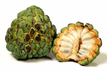 فاكهة القشطة ” تقتل السرطان أقوى 10000 مرة من العلاجات الكيميائية  Custard-apple-27-12-2011