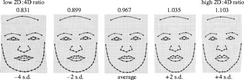 Finger lengths predict facial shape in young boys! Rspb20053179f02