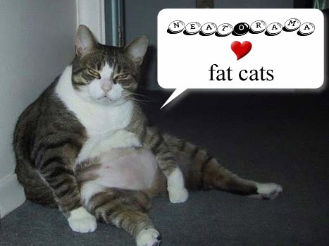 Varius Pic :D Fat-cat