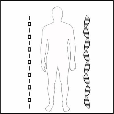 Sur la piste du code Pi … Picell3