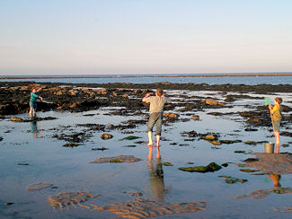 Newbie me hello - Page 2 Berwick-beach-northumberland-coast