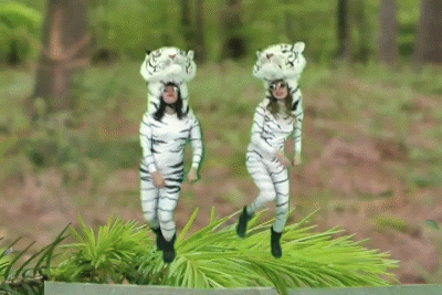 Happy Birthday Little Tigress! Dancing-tigers
