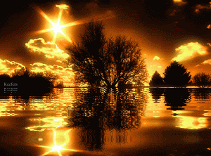 Bonjour, bonsoir..... - Page 7 Golden-sunset-reflecting-in-the-wate-of-lake