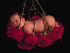 Des bbs de Anne Geddes Cal_geddes_12