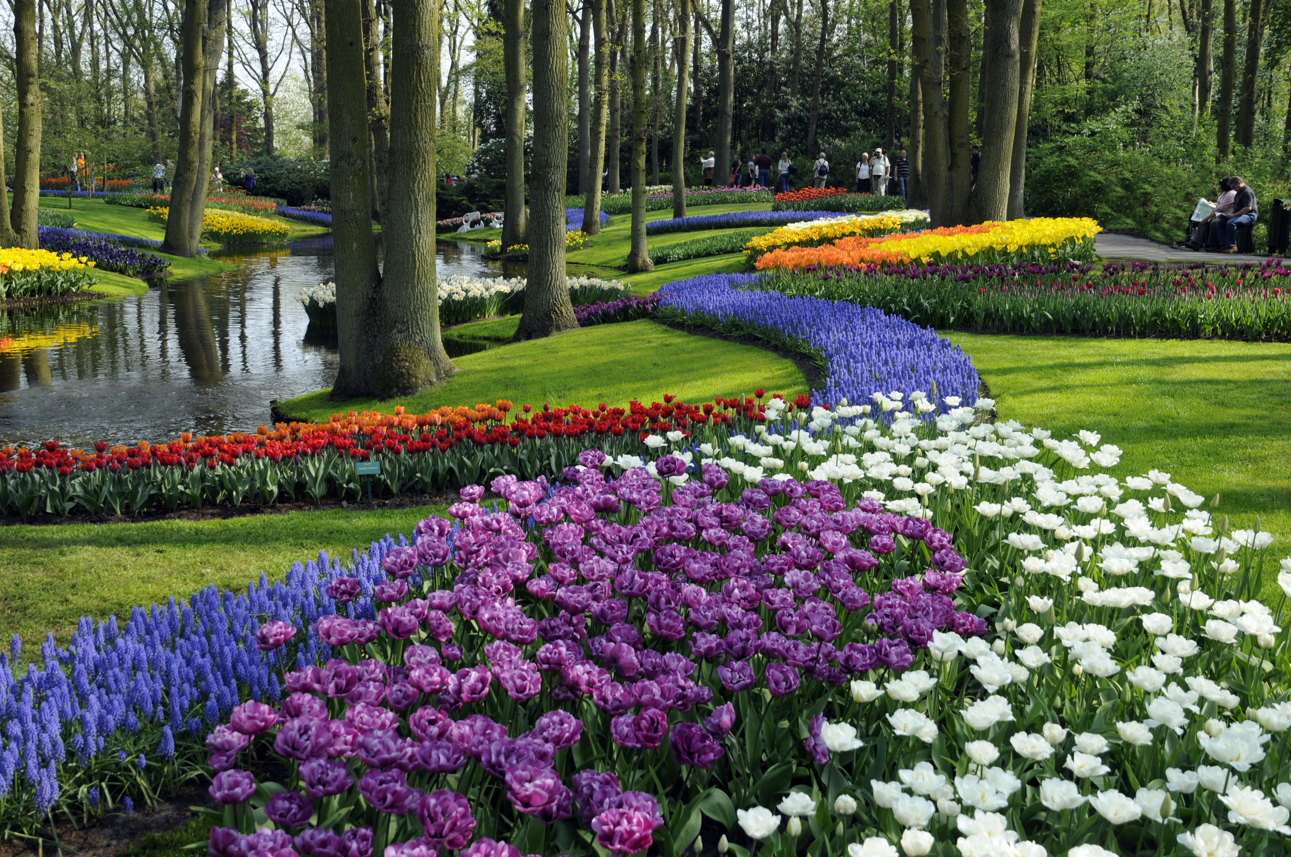 keukenhof garden Keukenhof-4