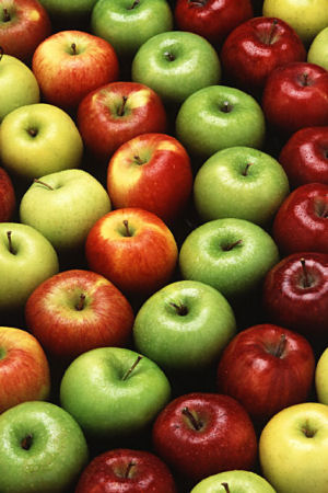 فوائد التفاح (( سبع فوائد)) !!  Apples_variety