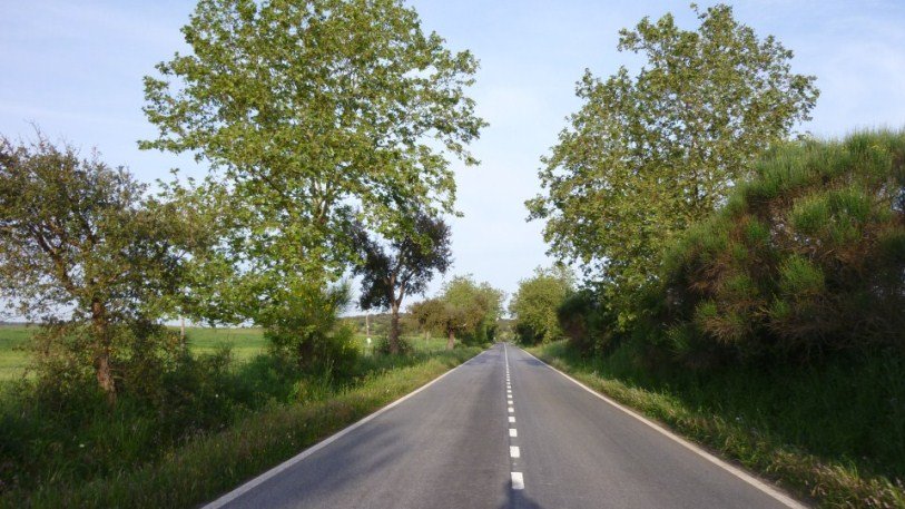 Ruta Dos Sabores (Portugal) Reportaje carretero 333222