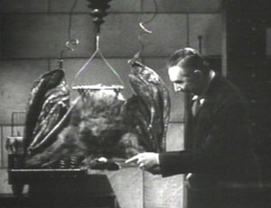 The Devil Bat (1940, Jean Yarbrough) Devil_bat_lugosi