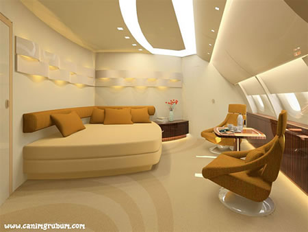 القصر الطائر Airbus_A380_VIP_Saloon_5