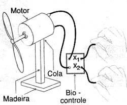 Bio-controle Ma0027_02