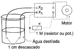 Bio-controle Ma0027_09