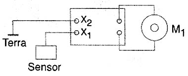 Bio-controle Ma0027_10