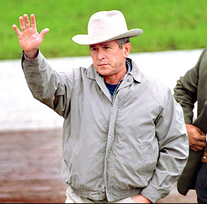 Saludos a todos Bush-cowboy