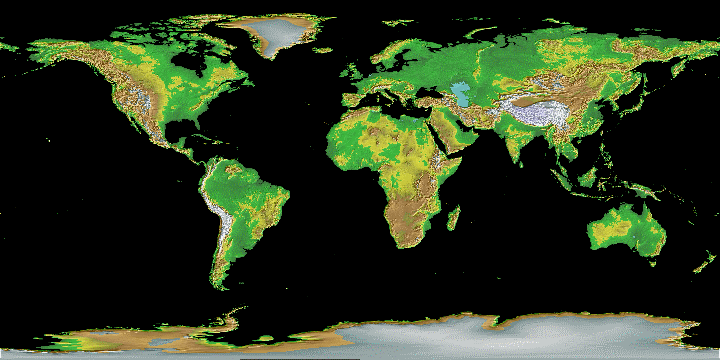 The Global Economist Globe3t