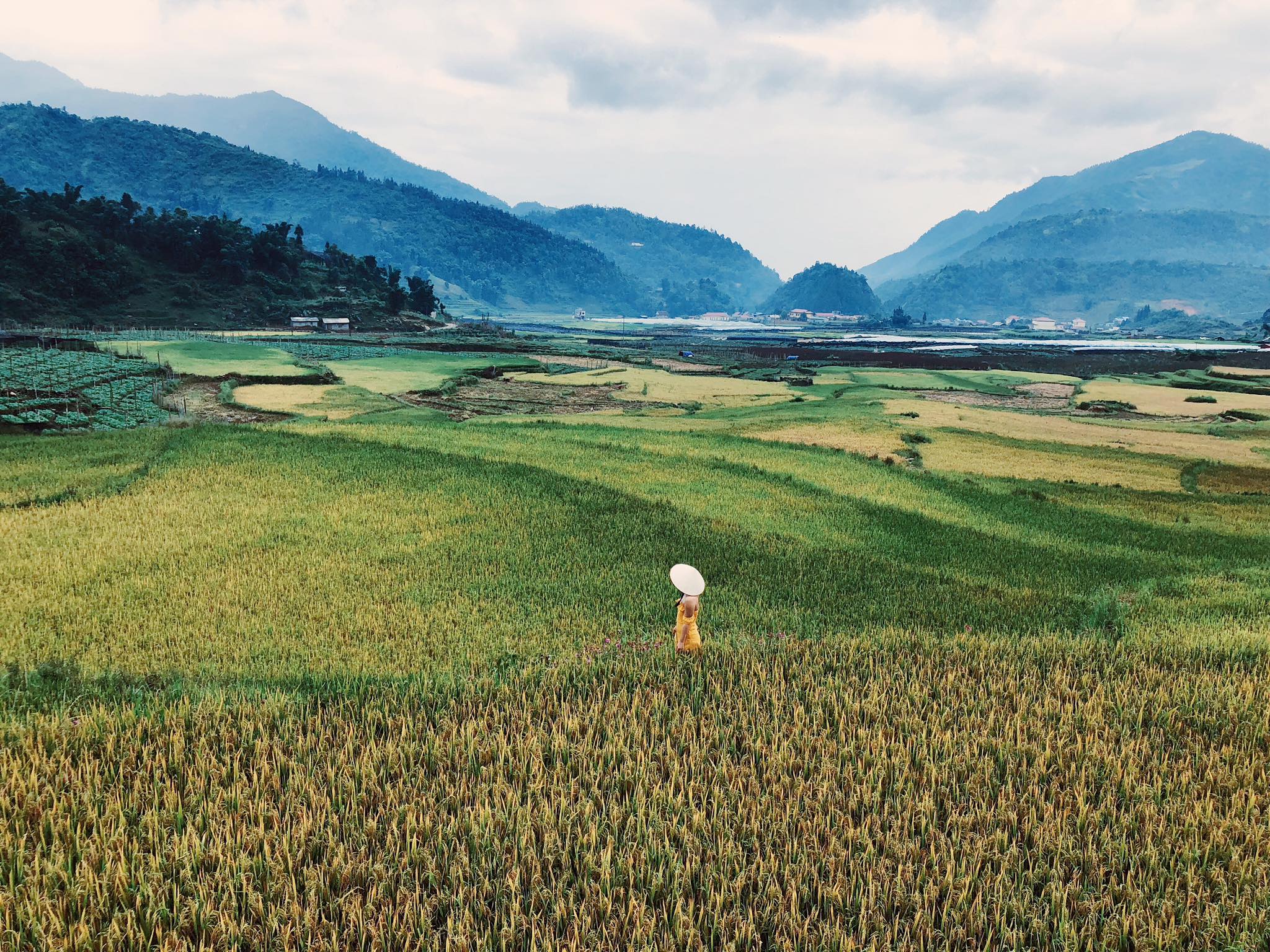 Ngắm Những Thửa Ruộng Bậc Thang Sapa – Kỳ Vĩ Hương Sắc Tây Bắc Ruong-bac-thang-sapa-nhat-long-travel-4-min