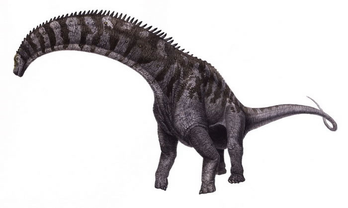 Isisaurus colberti Isisaurus