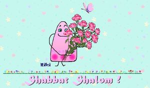 SHABBAT SHALOM Sh1