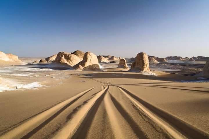 جمال الطبيعه فى مصر  23