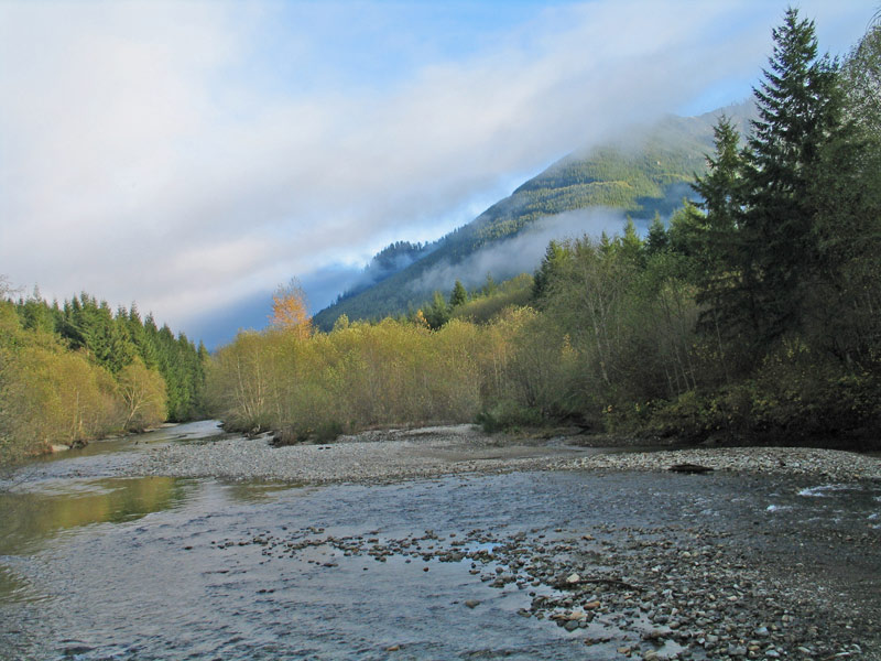 HOOTENANNY! Sept 20-21-22, North Bend, WA  VAN RUN IMG_colors