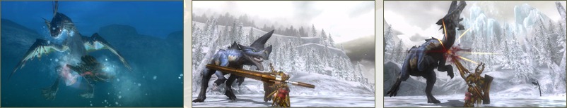 Bestiaire et armes de Monster Hunter Tri G en image 1317404803