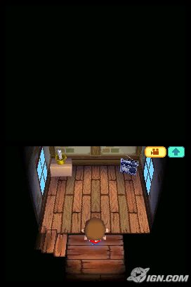 [DS]Animal crossing : wild world Ancww2