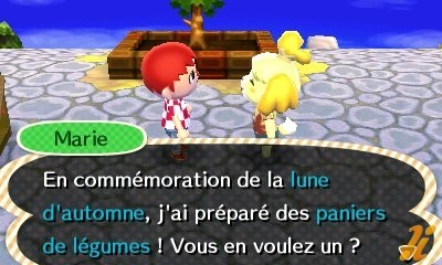 New Leaf : le nouveau nom d'Animal Crossing - Page 8 1366741545